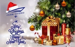 Merry Christmas and Happy New Year wishes you FESB Hydro team